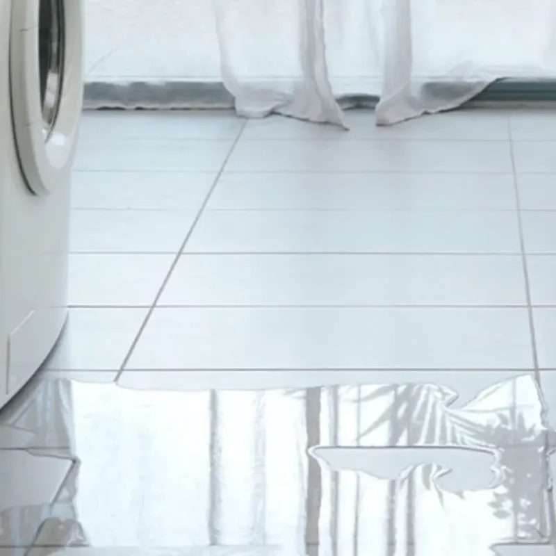 Appliance Leak Cleanup in Alameda, CA